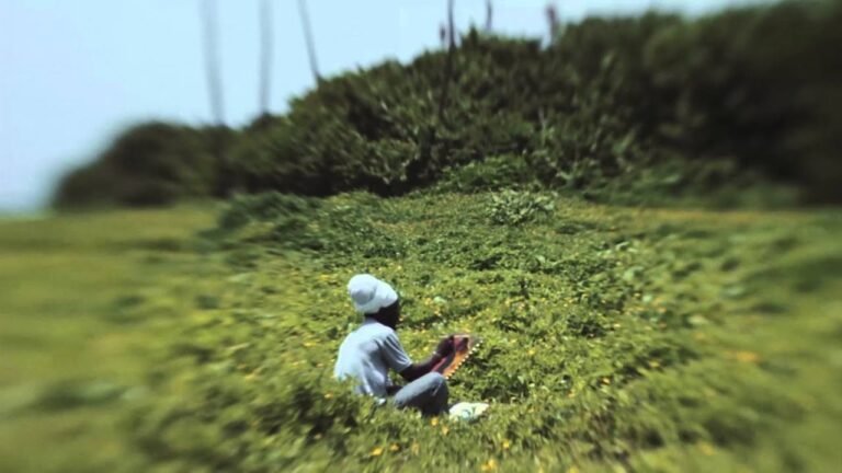 Citizenship by Investment in St.Kitts & Nevis