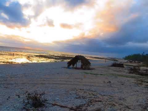 Mini Tokolau String Band – Toyota (Vanuatu String Band 2014)