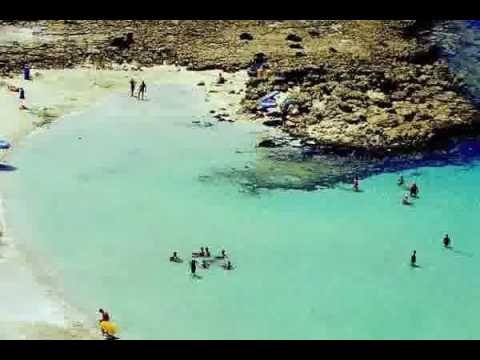 Coastel Property For Sale in Cyprus With Permanent Residency – mls.com.eg