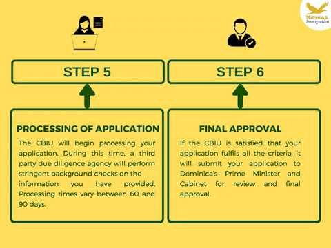 What is the actual process that takes place for Dominica citizenship