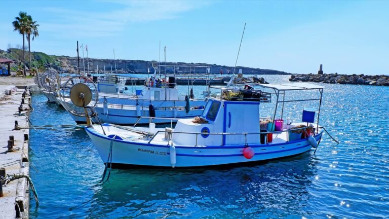 apply for cyprus residency – Savas Services – apply for cyprus residency