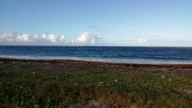 BEST PLACE IN ST. KITTS TO BUY REAL ESTATE