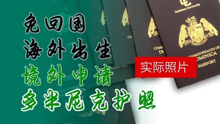 如何"免回国"办多米尼克护照？实际示范新生儿在海外出生后直接领多米尼克护照和欧洲护照。比哥带你了解如何直接在海外申请 #多米尼克护照  #多米尼克 #护照
