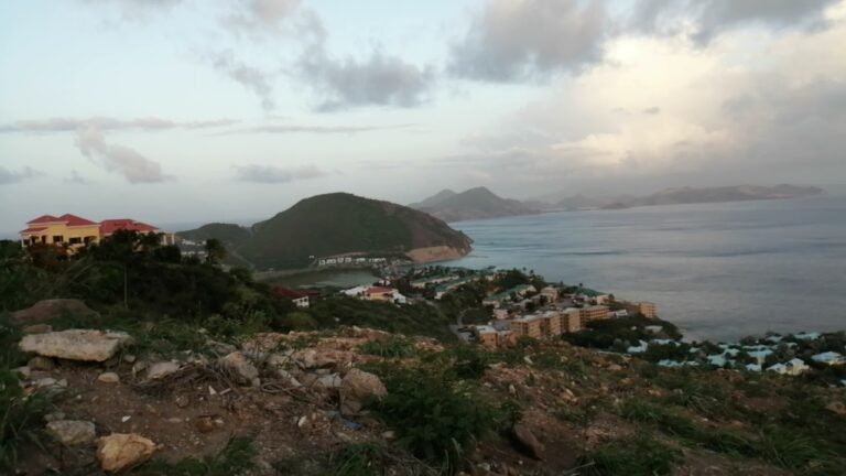 CAYMAN ISLANDS VERSUS ST. KITTS AND NEVIS RESIDENCY BY INVESTMENT COMPARISON CAYMAN ISLANDS VERSUS ST. KITTS AND NEVIS RESIDENCY BY INVESTMENT COMPARISON
