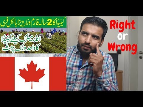 Canadian Farm work Visa || Facts