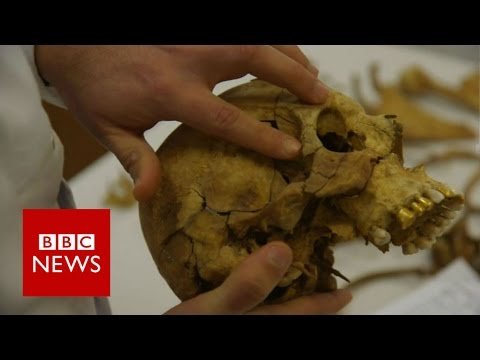 Cyprus: Searching for the dead – BBC News