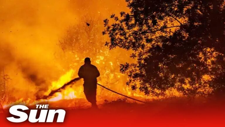 Cyprus forest fires – Four dead as ‘most destructive’ infernos in island’s history burn down homes