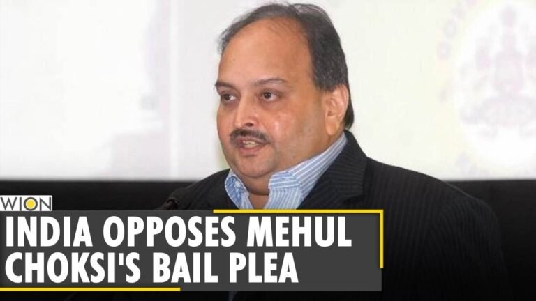 India to Dominica court: Mehul Choksi is still an Indian citizen | PNB Scam | English World News