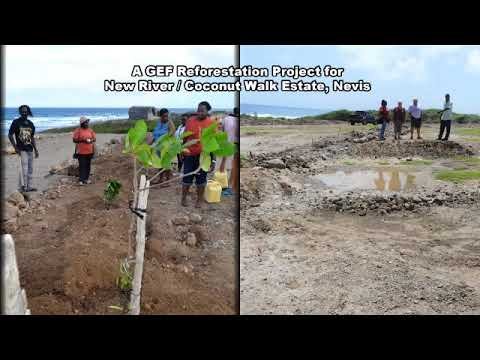 SGP St Kitts and Nevis combating land degradation on the New River and Coconut Walk Coastline