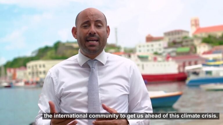 Simon Stiell, Minister for Climate Resilience and the Environment, Grenada