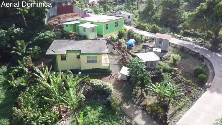 DOS DANE 2020 LIVE IN DOMINICA – AERIAL DOMINICA