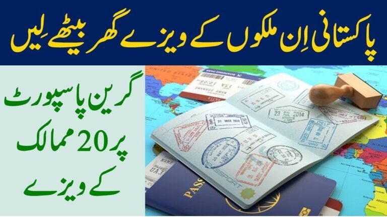 Easy E-Visa Countries For Pakistani Passport Holders in 2019.