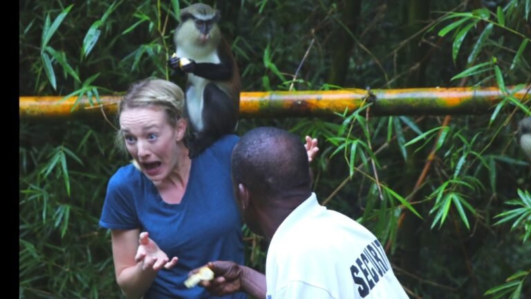 Grenada Scuba and Touring