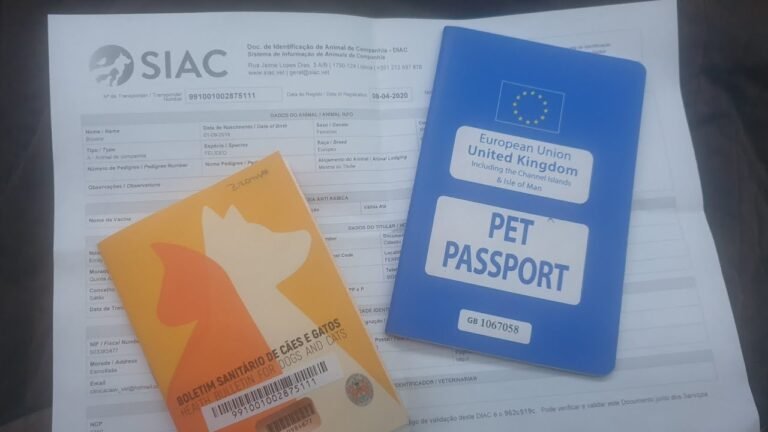 Portugese Pets, UK Pets & Their Passports – Requirements Moving To & Living In Portugal.