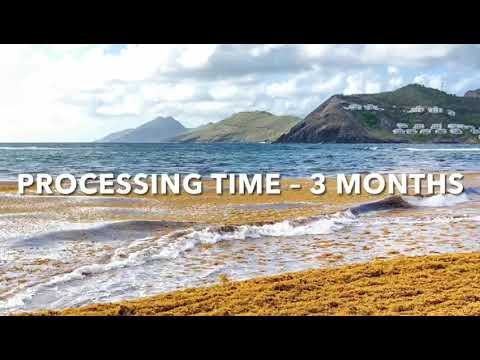 Windsor Capital Management: Caribbean Citizenship By Investment- Saint Kitts and Nevis