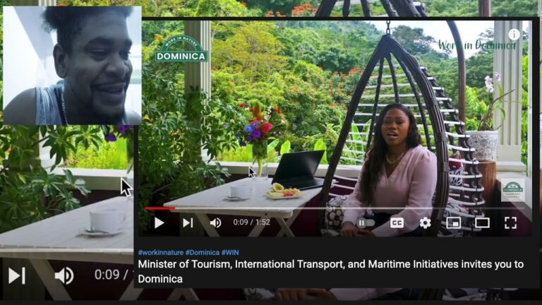 COME WORK IN DOMINICA NATURE COMMENTER HITS IT ON NAIL ft Skerrit & Denise – Mystelics Reacts