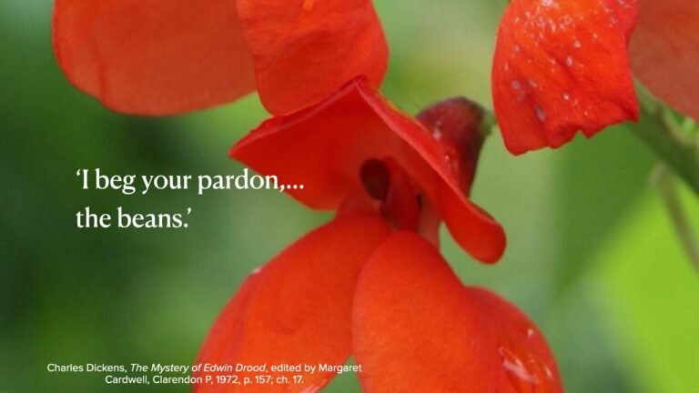 Scarlet Runner Beans and Insurgent Citizenship in Charles Dickens’s London, ASLE conference 2021