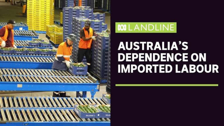 Why don't more Australians take up seasonal jobs on farms? | Landline | ABC News