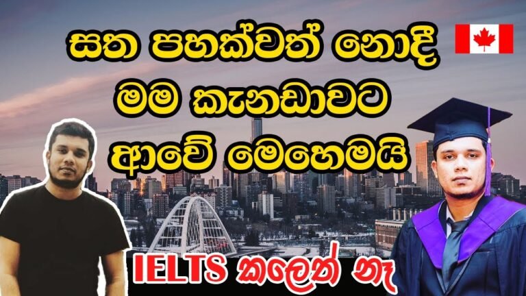 නොමිලේ කැනඩා ආපු මගේ ගමන | My Canada Journey | Canadasinhalavlog