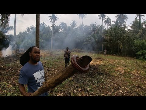 How Black Americans and Caribbeans are Building in Ghana | Clearing The Land We Purchased | #5