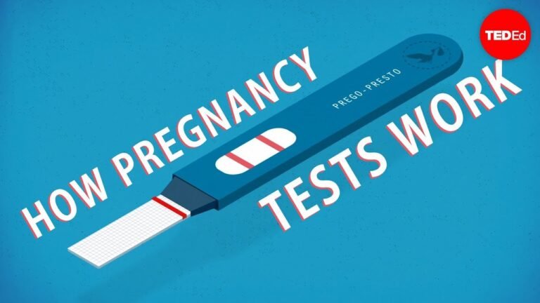 How do pregnancy tests work? – Tien Nguyen