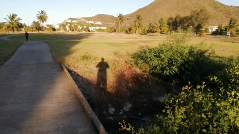 ST. KITTS NEVIS, A LIBERTARIAN'S DREAM, AND ST. KITTS DEVELOPER TAKING SOME BITCOIN