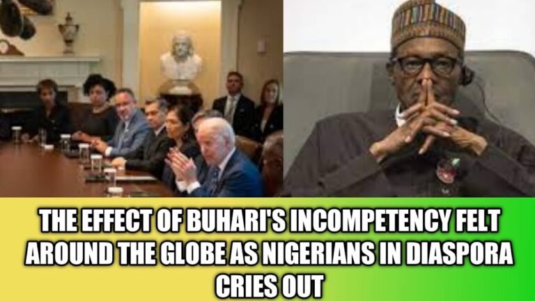 THE EFFECT OF BUHARI'S INCOMPETENCY FELT AROUND THE GLOBE AS NIGERIANS IN DIASPORA CRIES OUT