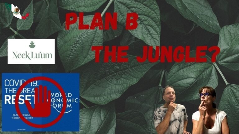 Your Plan B: Welcome to the Jungle? Getting Through The Great Reset