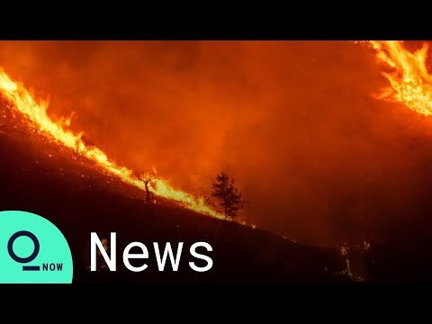 Cyprus Faces Its 'Most Destructive' Forest Fire Ever