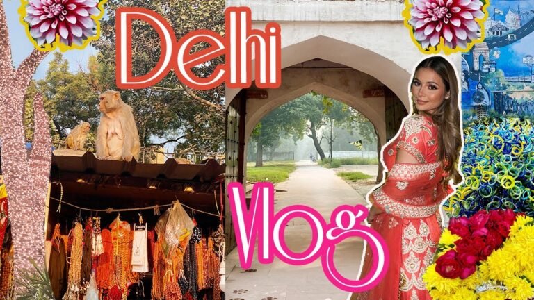 TRAVEL VLOG – INDIA / Exploring Delhi