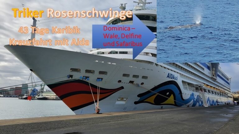 Wale, Delfine und Safaribus auf Dominica – Whales, Dolphins and Safaribus on Dominica