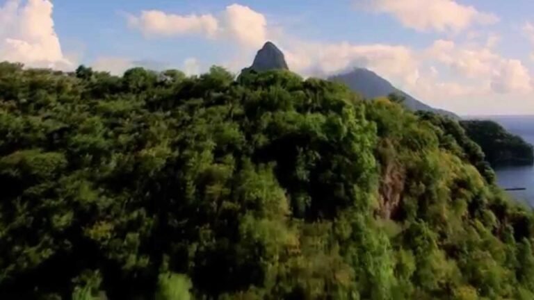 Invest Saint Lucia