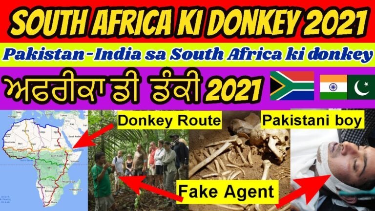 South Africa ki Donkey | South Africa to UK |  Africa Passport 2 number .