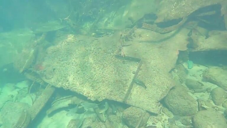 St  Kitts Snorkeling January 2022