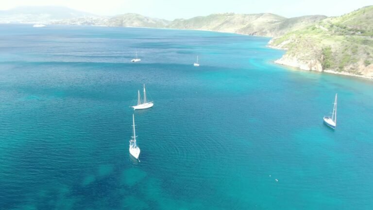 Saint Kitts & Nevis 2021 Saint Kitts & Nevis 2021