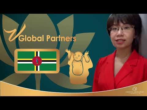 Vglobal Partners  I Dominica CBI Programme