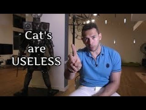 Andrew Tate on Cats and Dogs