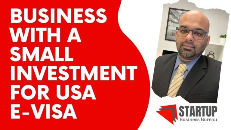 Business with a small investment for USA E-Visa | Live Your American Dream