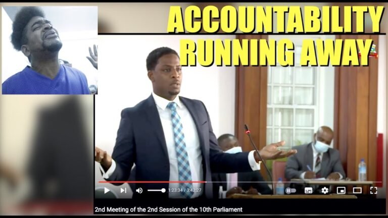 HON. CLEMENT MARCELLIN HOLDING DOMINICA GOVERNMENT ACCOUNTABLE – MYSTELICS REACTS