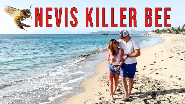 STUNG BY THE KILLER BEE ON NEVIS – St Kitts Part 2