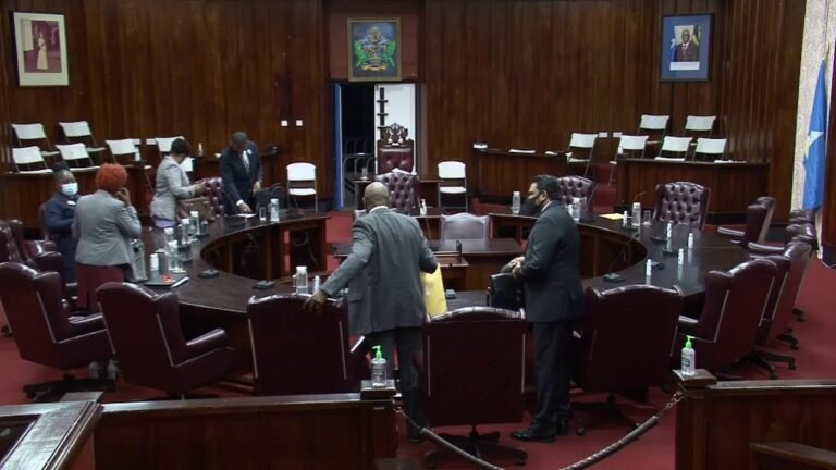 Sitting of the Senate – Pt IV (March 10, 2022)