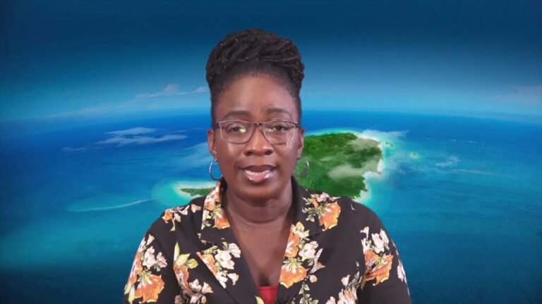 Grenada Statutory Rules & Orders No. 22 Of 2020