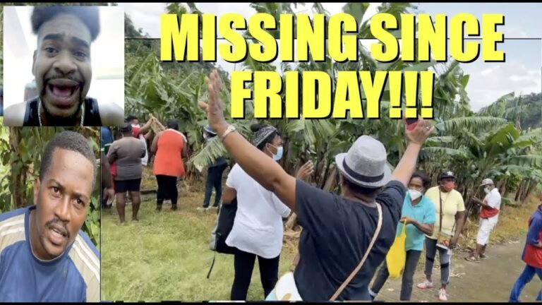 LADY GONE MISSING IN DOMINICA: PROFESSIONALS NEED TRAINING | Mystelics Reacts