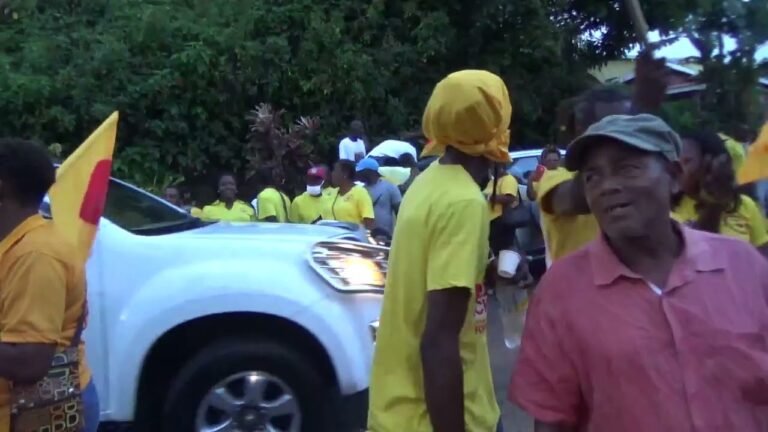 NDC Campaign 2022 St. David After motorcade on May 28th, 2022