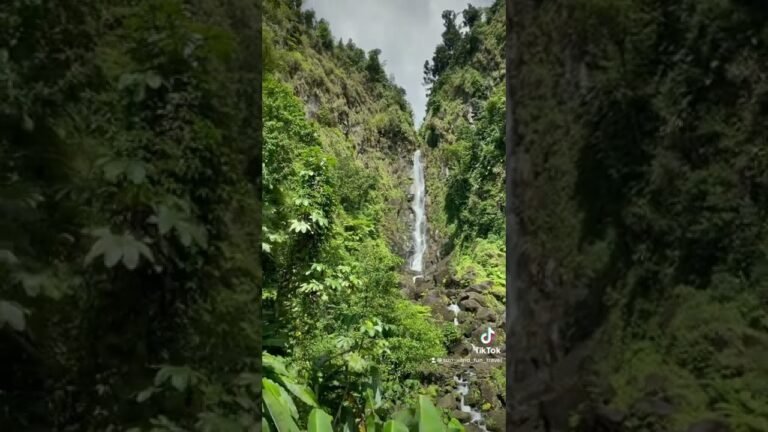 Trafalger Falls, Dominica Trafalger Falls, Dominica