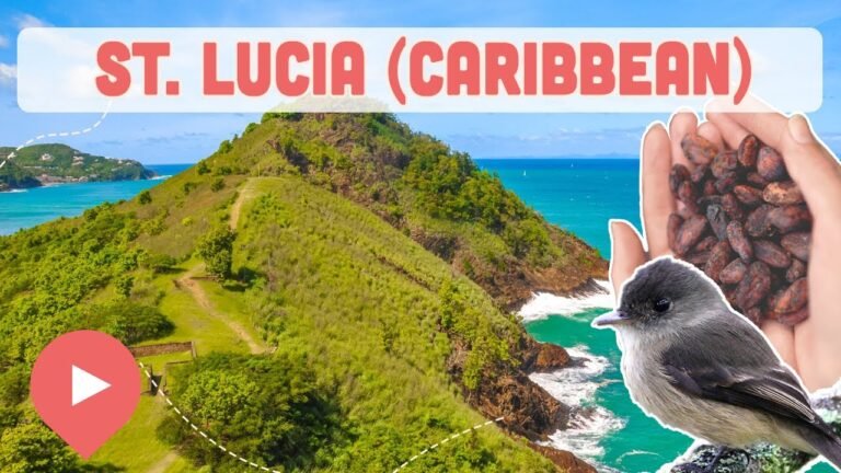 Best Things to Do in St. Lucia (Caribbean)