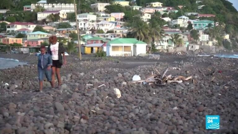 Dominica: Sale of 'golden passports' boosts island's coffers • FRANCE 24 English