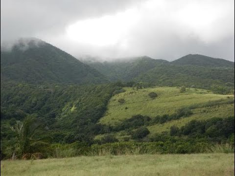 GRAB FARMLAND IN ST. KITTS WHILE ITS LOW IN PRICE GRAB FARMLAND IN ST. KITTS WHILE ITS LOW IN PRICE
