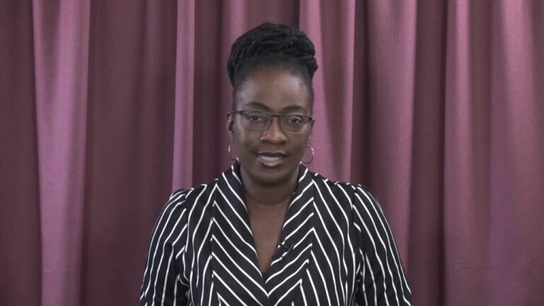 Grenada Statutory Rules and Orders No  16 of 2020