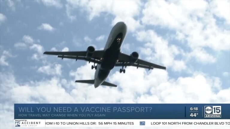 Will you need a vaccine passport to travel?